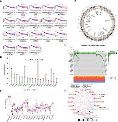 Development of an anoikis-related gene signature and prognostic model for predicting the tumor microenvironment and response to immunotherapy in colorectal cancer